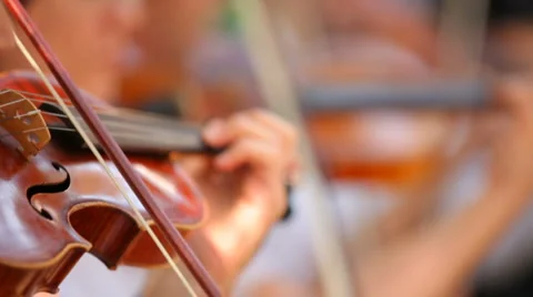 Violinist plays the violin Video stock 1461171