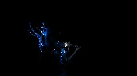 Violinist plays the violin Stock Footage 8826116