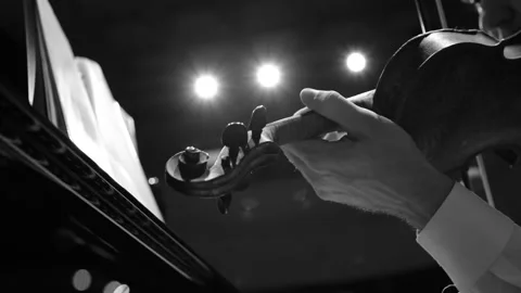 Violinist on stage, performance, close up, black and white Stock Footage 284016172