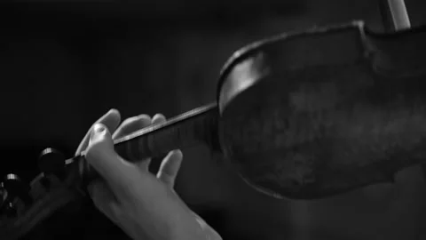 Violinist on stage,close up Video stock 284555268
