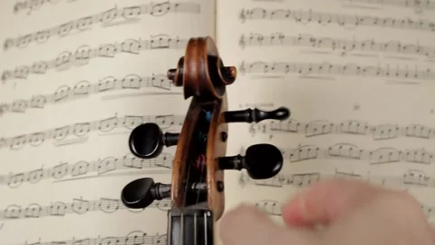 Violinist tunes a violin Stock Footage 159550011