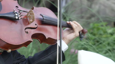 Violinist wearing a tuxedo playing a classical music piece on a violin Stock Footage 340223260