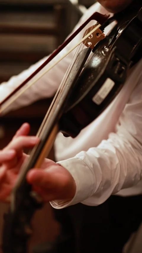 Violinist's hand delicately holding strings on violin neck, close-up of musical Stock Footage 306062386