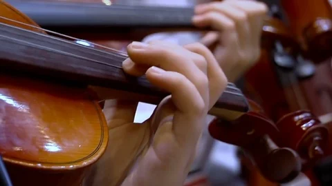 Violinists in the orchestra Stock Footage 73590828