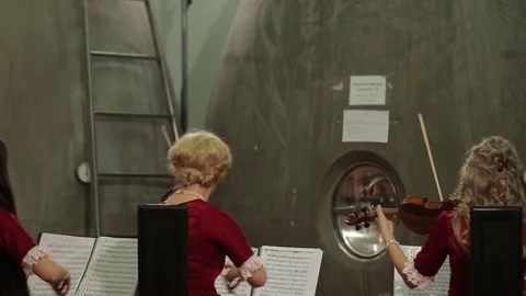 Violinists orchestra Stock Footage 74407911