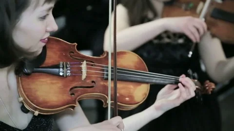 Violinists playing music. Close up Stock Footage 73587756