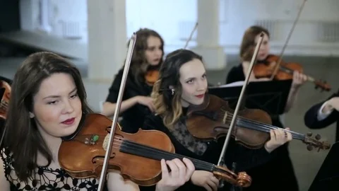 Violinists playing music in hall Stock Footage 73609700