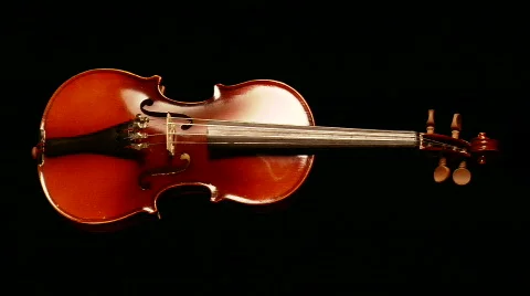 ViolinLooping 库存影片 531771