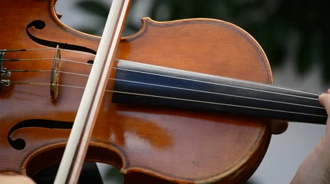 Violins in action on a concert Stock Footage 39978861