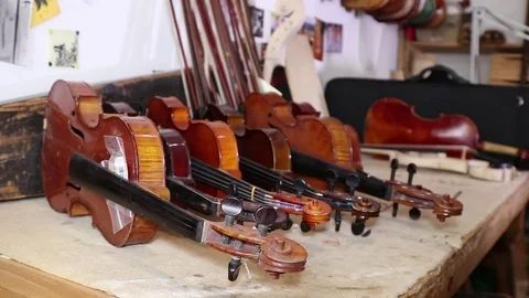 Violins  in a luthier shop Stock Footage 83446509
