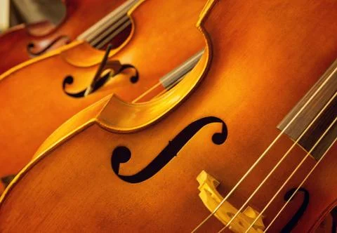 Violins Stock Photos