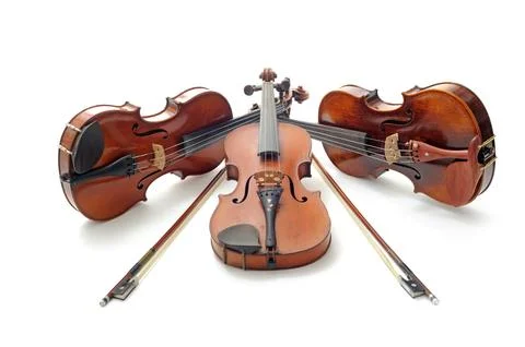 Violins in studio Stock Photos