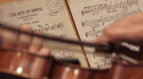 Violins in a symphonic orchestra Stock-Footage 51990540