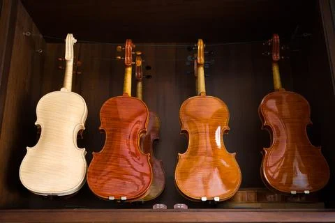 Violins in the workshop 写真素材