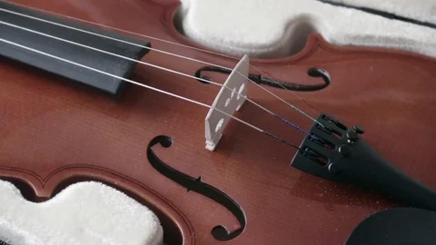 ViolinViolin in a black case with a neck bridge and bow (full set) in a case Stock Footage 73890511