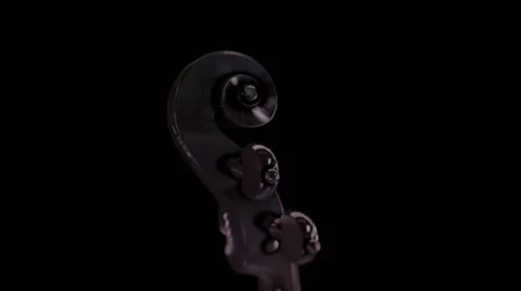 Violon Black 動画素材 42305791
