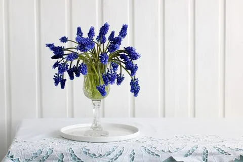 Viper 's bow, blue spring flowers in a glass on the table. Stock-Fotos