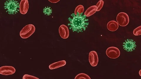 Viral outbreak - cells floating in the blood along with red blood cells. Vidéo 333789707