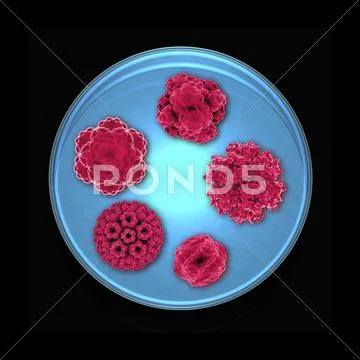 Viral research, conceptual artwork Stock Illustration