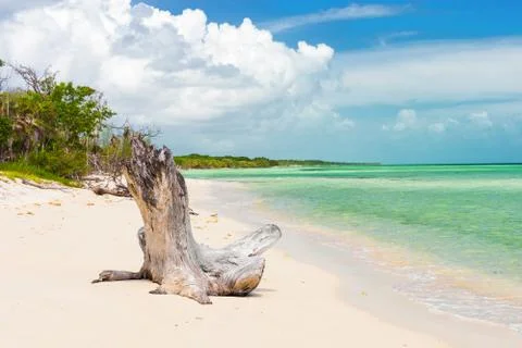 Virgin beach at coco key (cayo coco) in cuba Stock Photos