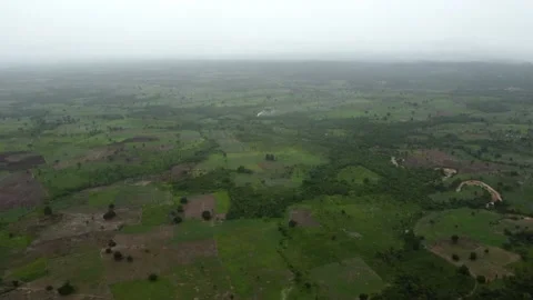 Virgin Green Land Stock Footage 197895912