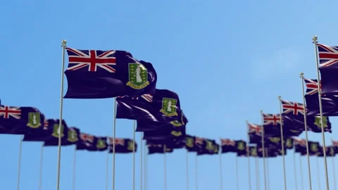 Virgin Islands UK Row Of Flags Animation Stock Footage 148805772