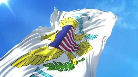 Virgin Islands US Flag Low Angle View Stock Footage 295701379