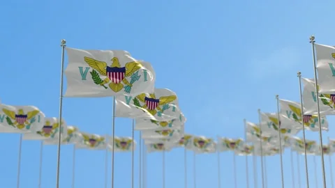 Virgin Islands US row Row Of Flags Animation Stock-Footage 148806142