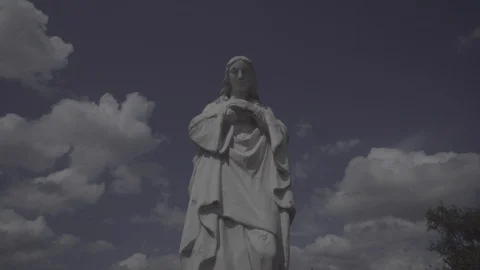 Virgin Mary Stock Footage 99794502