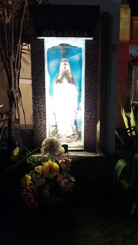 The Virgin Mary Stock Footage 236177619