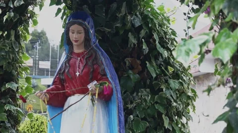 Virgin Mary garden  Stock Footage 238048467