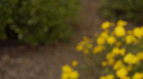 Virgin mary statue Video stock 46114115