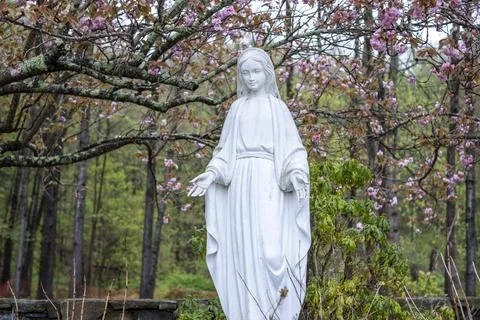 Virgin Mary Statue in Spring Garden with Pink Flowers 写真素材