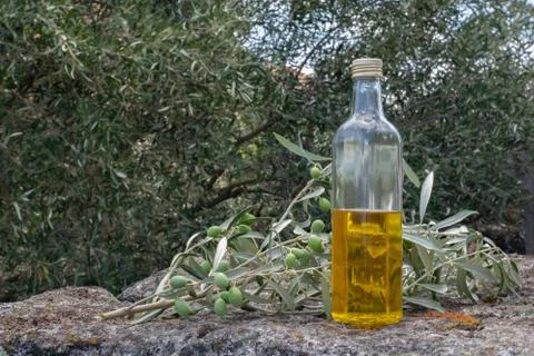 Virgin olive oil bottle with olive grove bottom Stock Photos