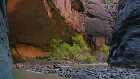 Virgin River flowing through the Narrows of Zion National Park, Utah, with tower Stock Footage 332023339
