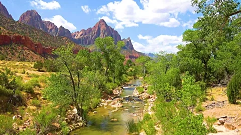 Virgin River flowing in the Utah mountains. Stock Footage 131320438