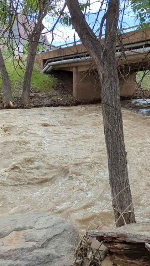 Virgin River flows muddy under bridge in Zion National Park canyon Stock Footage 321507022
