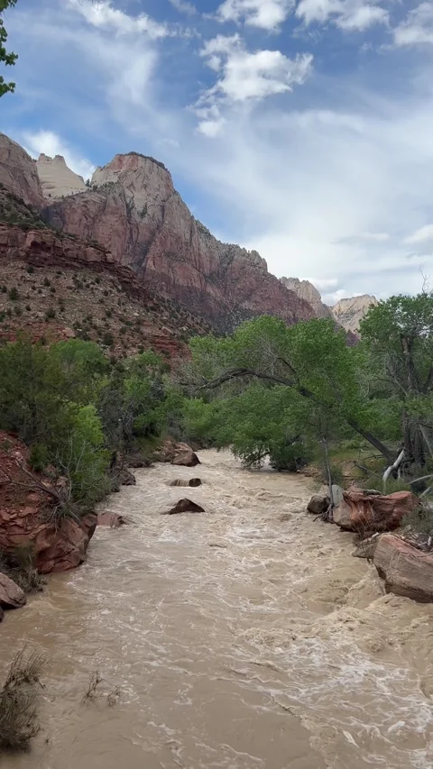 Virgin River flows muddy in Zion National Park red rock canyon Stock Footage 321505794