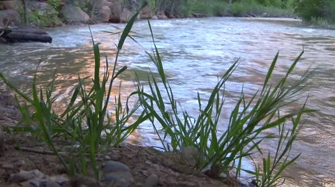 Virgin River Video stock 4608885