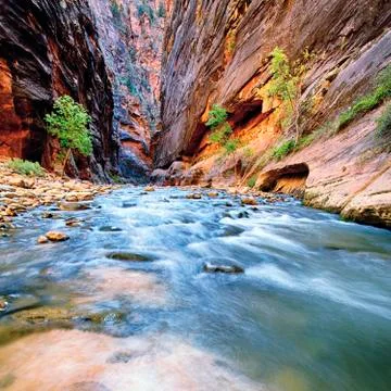 Virgin river Stock Photos
