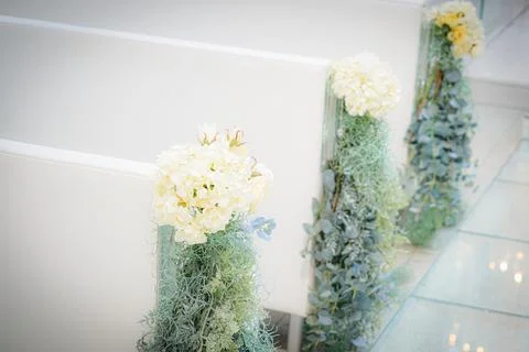 Virgin Road White Flower Flower Image Stock Photos