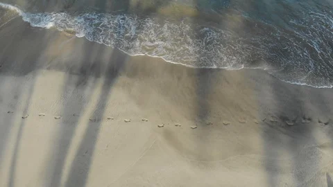 Virgin3 Stock Footage 91287786