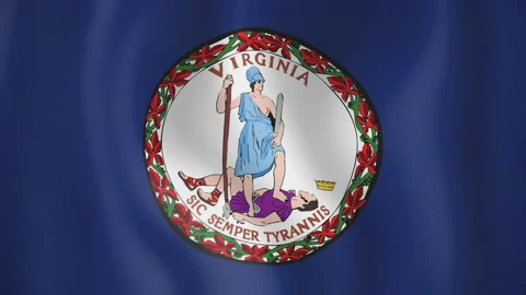 Virginia animated flag. Seamless loop. 4K Stock-Footage 145394499