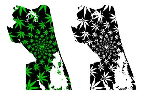 Virginia Beach city - map is designed cannabis leaf Stock Illustration