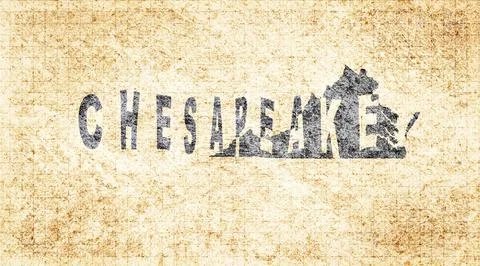 Virginia Chesapeake Typography Map Ilustración de archivo