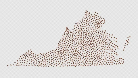 Virginia Coffee Beans Video stock 148038379