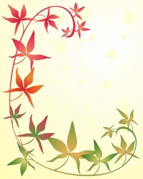 Virginia creeper Stock Illustration