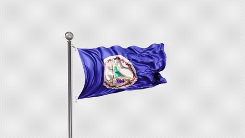 Virginia Flag  Animation Loop Include Alpha 3D Rendering Stock Footage 282984884
