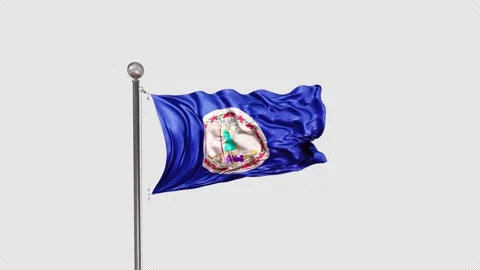Virginia Flag  Animation Loop Include Alpha 3D Rendering Stock-Footage 312117225