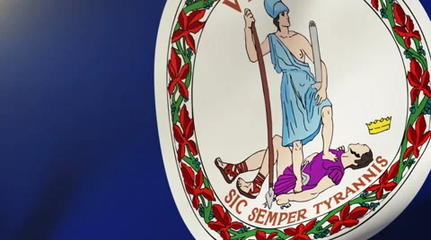 Virginia flag waving in the wind. Looping sun rises style.  Animation loop Stock Footage 48206891